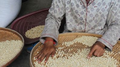 Future-proofing farmers in the world’s most climate-exposed areas